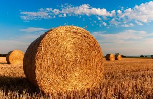 5 avantaje ale agriculturii ecologice si necesitatea unui incarcator frontal